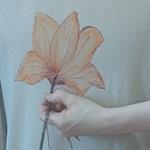 CAMISETA, PULL, color beig  con dibujo de flor naranja, escote en pico, manga francesa