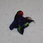 Broche en lana merino, afieltrado a mano
