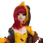 muñeca bjd 1/6