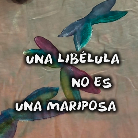 Dibujar libélulas y perder la paciencia (un poquito)  | Artesania Textil