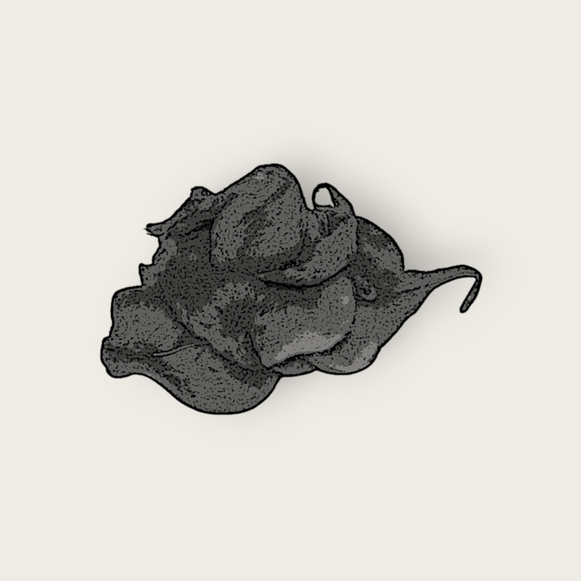 BROCHE. BISUTERIA